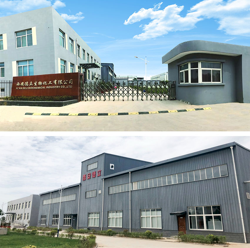 Xi'an deli Biochemical Industry Co., Ltd.: Nangungunang Innovation sa Cyclodextrin Derivatives, Pagpapalakas ng Industriya ng Parmasyutiko